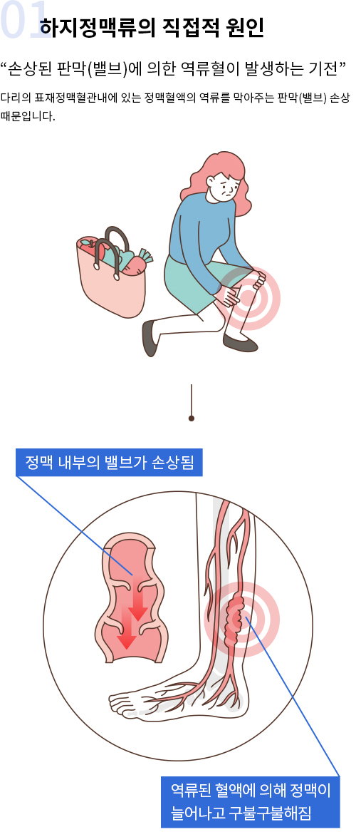 원인증상